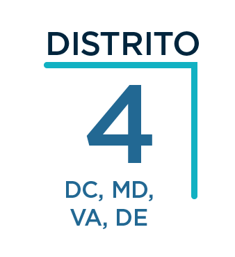 D4